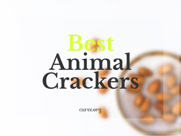 20 Best Animal Crackers Of 2024 Good Source Of Calcium   Best Animal Crackers 