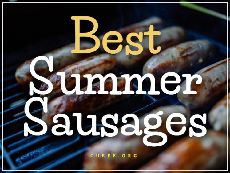 20 Best Summer Sausages Of 2024 Smoked And Tasty   Best Summer Sausages 