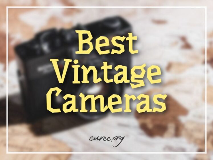 20 Best Vintage Cameras - Retro Is In Vogue