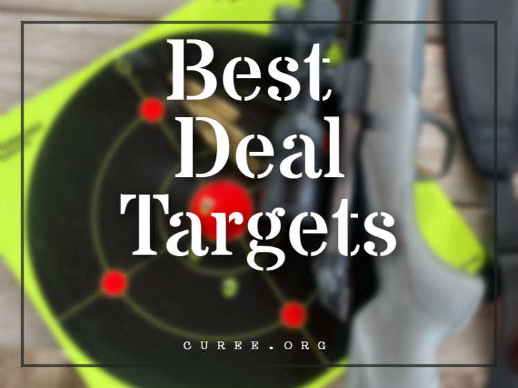 20 Best Deal Targets 2024 Gun Range Targets   Best Deal Targets 