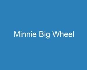 20 Best Minnie Big Wheel [2023] - Curee