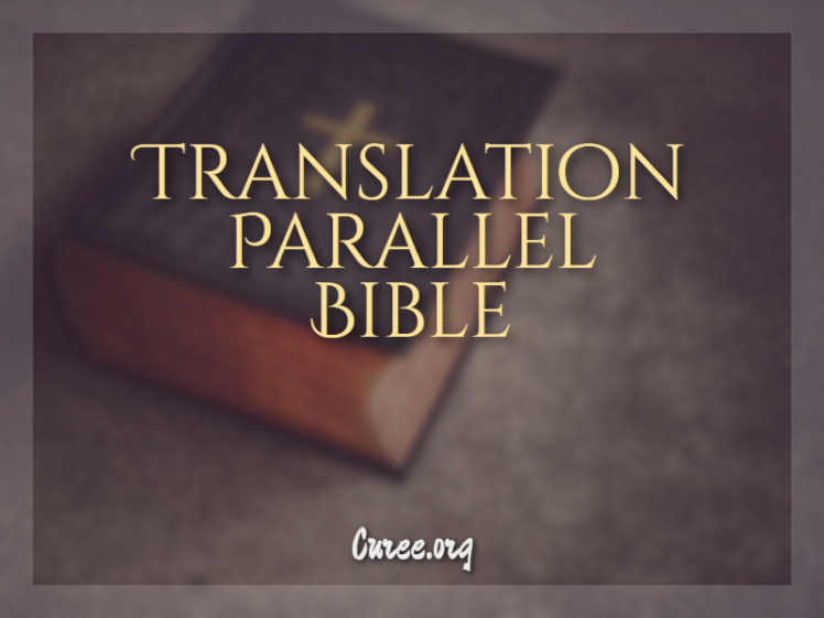 8 translation parallel bible